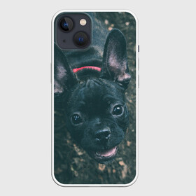 Чехол для iPhone 13 с принтом Бульдог морда собакена черного в Кировске,  |  | бульдог | гав | глаза | любимец | любителю животных | ошейник | пес | песель | песик | питомец | псина | псинка | собака | собакен | собачка | собачник | уши | черный | язык
