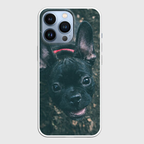 Чехол для iPhone 13 Pro с принтом Бульдог морда собакена черного в Кировске,  |  | бульдог | гав | глаза | любимец | любителю животных | ошейник | пес | песель | песик | питомец | псина | псинка | собака | собакен | собачка | собачник | уши | черный | язык