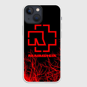 Чехол для iPhone 13 mini с принтом RAMMSTEIN | РАМШТАЙН в Кировске,  |  | lindemann | lm | rammstein | rock | кристиан лоренц | линдеманн | лм | музыка | рамштайн | рок | тилль линдеманн