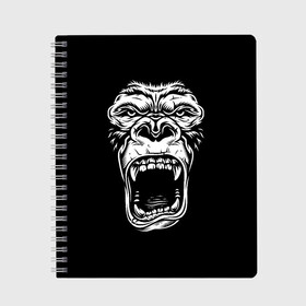 Тетрадь с принтом Face of gorilla в Кировске, 100% бумага | 48 листов, плотность листов — 60 г/м2, плотность картонной обложки — 250 г/м2. Листы скреплены сбоку удобной пружинной спиралью. Уголки страниц и обложки скругленные. Цвет линий — светло-серый
 | Тематика изображения на принте: арт | горилла | животные | звери | картинка | лицо гориллы | обезьяна | рисунок