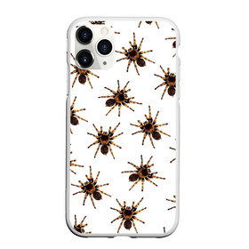 Чехол для iPhone 11 Pro матовый с принтом В пауках в Кировске, Силикон |  | pattern | spider | джунгли | дикие | животные | жуки | звери | лапы | мерзкие | монстр | насекомые | паттерн | паук | пауки | паутина | паучок | птицеед | страшный | существа | тараканы | тарантул | тропики