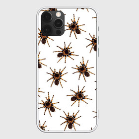 Чехол для iPhone 12 Pro Max с принтом В пауках в Кировске, Силикон |  | Тематика изображения на принте: pattern | spider | джунгли | дикие | животные | жуки | звери | лапы | мерзкие | монстр | насекомые | паттерн | паук | пауки | паутина | паучок | птицеед | страшный | существа | тараканы | тарантул | тропики