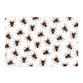 Магнитный плакат 3Х2 с принтом В пауках в Кировске, Полимерный материал с магнитным слоем | 6 деталей размером 9*9 см | Тематика изображения на принте: pattern | spider | джунгли | дикие | животные | жуки | звери | лапы | мерзкие | монстр | насекомые | паттерн | паук | пауки | паутина | паучок | птицеед | страшный | существа | тараканы | тарантул | тропики