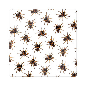 Магнит виниловый Квадрат с принтом В пауках в Кировске, полимерный материал с магнитным слоем | размер 9*9 см, закругленные углы | pattern | spider | джунгли | дикие | животные | жуки | звери | лапы | мерзкие | монстр | насекомые | паттерн | паук | пауки | паутина | паучок | птицеед | страшный | существа | тараканы | тарантул | тропики
