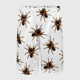 Детские спортивные шорты 3D с принтом В пауках в Кировске,  100% полиэстер
 | пояс оформлен широкой мягкой резинкой, ткань тянется
 | pattern | spider | джунгли | дикие | животные | жуки | звери | лапы | мерзкие | монстр | насекомые | паттерн | паук | пауки | паутина | паучок | птицеед | страшный | существа | тараканы | тарантул | тропики