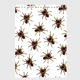 Скетчбук с принтом В пауках в Кировске, 100% бумага
 | 48 листов, плотность листов — 100 г/м2, плотность картонной обложки — 250 г/м2. Листы скреплены сверху удобной пружинной спиралью | pattern | spider | джунгли | дикие | животные | жуки | звери | лапы | мерзкие | монстр | насекомые | паттерн | паук | пауки | паутина | паучок | птицеед | страшный | существа | тараканы | тарантул | тропики