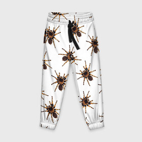 Детские брюки 3D с принтом В пауках в Кировске, 100% полиэстер | манжеты по низу, эластичный пояс регулируется шнурком, по бокам два кармана без застежек, внутренняя часть кармана из мелкой сетки | pattern | spider | джунгли | дикие | животные | жуки | звери | лапы | мерзкие | монстр | насекомые | паттерн | паук | пауки | паутина | паучок | птицеед | страшный | существа | тараканы | тарантул | тропики