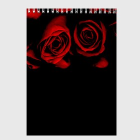 Скетчбук с принтом Готика в Кировске, 100% бумага
 | 48 листов, плотность листов — 100 г/м2, плотность картонной обложки — 250 г/м2. Листы скреплены сверху удобной пружинной спиралью | Тематика изображения на принте: black | flowers | red | rose | rozario | vampire | алые | бутоны | вампир | винтаж | готический | красныерозы | кровь | лепестки | летний | лето | ночь | природа | растения | роза | розочка | розы | рок | темный | узор