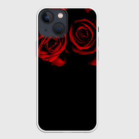 Чехол для iPhone 13 mini с принтом Готика в Кировске,  |  | black | flowers | red | rose | rozario | vampire | алые | бутоны | вампир | винтаж | готический | красныерозы | кровь | лепестки | летний | лето | ночь | природа | растения | роза | розочка | розы | рок | темный | узор