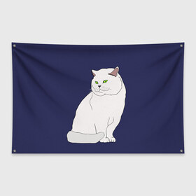 Флаг-баннер с принтом Белый британский котик в Кировске, 100% полиэстер | размер 67 х 109 см, плотность ткани — 95 г/м2; по краям флага есть четыре люверса для крепления | Тематика изображения на принте: cat | cute | kitten | meow | британец | британский | взгляд | друзья | животные | зверек | зверюшки | каваи | киска | котенок | котик | коты | котята | кошак | кошечки | кошки | лапы | милые | мордочка | мяу | няшные