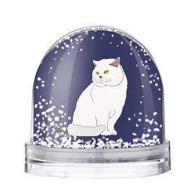 Снежный шар с принтом Белый британский котик в Кировске, Пластик | Изображение внутри шара печатается на глянцевой фотобумаге с двух сторон | Тематика изображения на принте: cat | cute | kitten | meow | британец | британский | взгляд | друзья | животные | зверек | зверюшки | каваи | киска | котенок | котик | коты | котята | кошак | кошечки | кошки | лапы | милые | мордочка | мяу | няшные