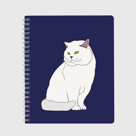 Тетрадь с принтом Белый британский котик в Кировске, 100% бумага | 48 листов, плотность листов — 60 г/м2, плотность картонной обложки — 250 г/м2. Листы скреплены сбоку удобной пружинной спиралью. Уголки страниц и обложки скругленные. Цвет линий — светло-серый
 | Тематика изображения на принте: cat | cute | kitten | meow | британец | британский | взгляд | друзья | животные | зверек | зверюшки | каваи | киска | котенок | котик | коты | котята | кошак | кошечки | кошки | лапы | милые | мордочка | мяу | няшные