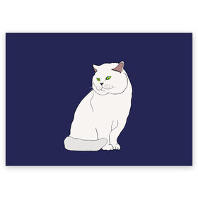 Поздравительная открытка с принтом Белый британский котик в Кировске, 100% бумага | плотность бумаги 280 г/м2, матовая, на обратной стороне линовка и место для марки
 | Тематика изображения на принте: cat | cute | kitten | meow | британец | британский | взгляд | друзья | животные | зверек | зверюшки | каваи | киска | котенок | котик | коты | котята | кошак | кошечки | кошки | лапы | милые | мордочка | мяу | няшные