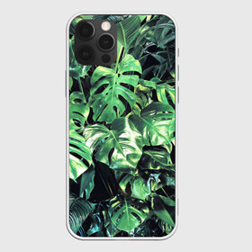 Чехол для iPhone 12 Pro Max с принтом ЛИСТЬЯ в Кировске, Силикон |  | summer | tropic | жара | летний | лето | отдых | пальмы | природа | текстура | тропикано | тропики