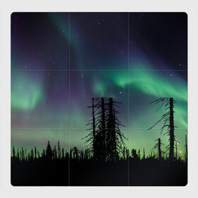 Магнитный плакат 3Х3 с принтом Северное сияние в Кировске, Полимерный материал с магнитным слоем | 9 деталей размером 9*9 см | Тематика изображения на принте: дерево | деревья | звезда | звездное | звезды | космический | космос | космосе | кусты | лес | леса | лесной | лучи | небо | ночное | ночь | природа | север | северное | сияние | сиянием | сияния
