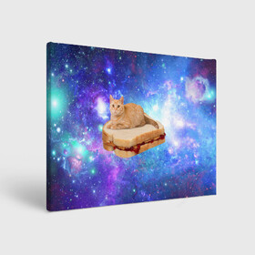 Холст прямоугольный с принтом Кот в космосе в Кировске, 100% ПВХ |  | cat | cats | space | бутерброд | грозовой кошак | джем | киса | киска | космос | кошак | кошка