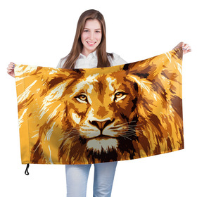 Флаг 3D с принтом Взгляд льва в Кировске, 100% полиэстер | плотность ткани — 95 г/м2, размер — 67 х 109 см. Принт наносится с одной стороны | арт | грива | деко | жедтая | животные | закат | зверей | золото | кошка | лев | лето | львенок | неоновая | очки | пляж | прайд | разноцветная | солнце | тигр | узоры | царь | яркие