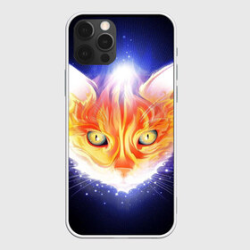 Чехол для iPhone 12 Pro Max с принтом Сеяющий кот в Кировске, Силикон |  | звёзды | кот | сеяние | чёрный фон
