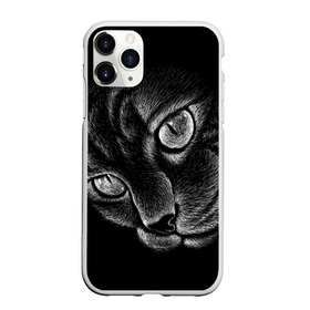 Чехол для iPhone 11 Pro Max матовый с принтом Волшебный кот в Кировске, Силикон |  | black | cat | eyes | kitten | kitty | pussy | pussycat | взгляд | глаз | глаза | кот | кота | котенок | коты | котят | котята | котячьи | кошачьи | кошка | кошки | мордочка | нос | носик | с котом | усатый | усики | усища | усищи | че