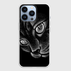 Чехол для iPhone 13 Pro с принтом Волшебный кот в Кировске,  |  | Тематика изображения на принте: black | cat | eyes | kitten | kitty | pussy | pussycat | взгляд | глаз | глаза | кот | кота | котенок | коты | котят | котята | котячьи | кошачьи | кошка | кошки | мордочка | нос | носик | с котом | усатый | усики | усища | усищи | че
