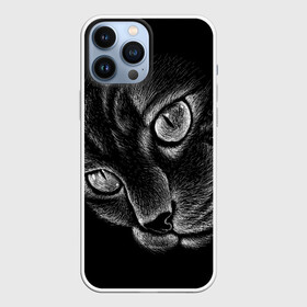 Чехол для iPhone 13 Pro Max с принтом Волшебный кот в Кировске,  |  | Тематика изображения на принте: black | cat | eyes | kitten | kitty | pussy | pussycat | взгляд | глаз | глаза | кот | кота | котенок | коты | котят | котята | котячьи | кошачьи | кошка | кошки | мордочка | нос | носик | с котом | усатый | усики | усища | усищи | че