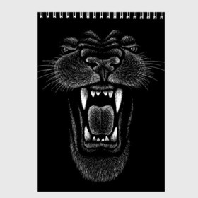 Скетчбук с принтом Черная пантера в Кировске, 100% бумага
 | 48 листов, плотность листов — 100 г/м2, плотность картонной обложки — 250 г/м2. Листы скреплены сверху удобной пружинной спиралью | Тематика изображения на принте: big | black | cat | danger | jungle | king | leopard | panter | panther | picture | большая | большой | джунглей | джунгли | зубы | король | кот | кошка | леопард | мелками | опасная | опасный | охотник | пантера | пасть | рисунок | хищник | 