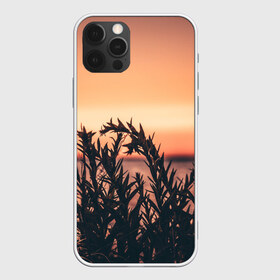 Чехол для iPhone 12 Pro Max с принтом Трава растение закат силуэт в Кировске, Силикон |  | закат | кусты | лето | на каждый день | природа | рассвет | растение | свет | силуэт