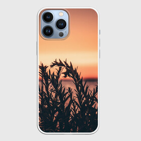 Чехол для iPhone 13 Pro Max с принтом Трава растение закат силуэт в Кировске,  |  | Тематика изображения на принте: закат | кусты | лето | на каждый день | природа | рассвет | растение | свет | силуэт
