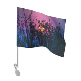 Флаг для автомобиля с принтом Трава растения закатный свет в Кировске, 100% полиэстер | Размер: 30*21 см | Тематика изображения на принте: вечер | закат | мило | небо | поле | рассвет | растения | свет | сумерки | сухоцвет