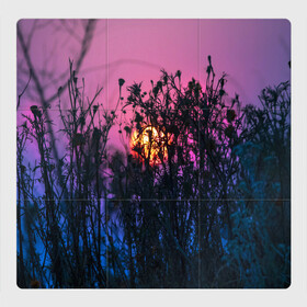 Магнитный плакат 3Х3 с принтом Трава растения закатный свет в Кировске, Полимерный материал с магнитным слоем | 9 деталей размером 9*9 см | Тематика изображения на принте: вечер | закат | мило | небо | поле | рассвет | растения | свет | сумерки | сухоцвет