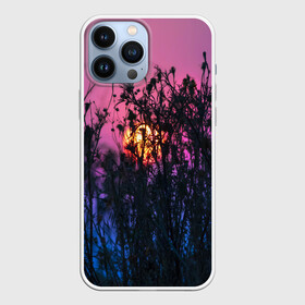 Чехол для iPhone 13 Pro Max с принтом Трава растения закатный свет в Кировске,  |  | Тематика изображения на принте: вечер | закат | мило | небо | поле | рассвет | растения | свет | сумерки | сухоцвет