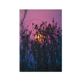 Обложка для паспорта матовая кожа с принтом Трава растения закатный свет в Кировске, натуральная матовая кожа | размер 19,3 х 13,7 см; прозрачные пластиковые крепления | Тематика изображения на принте: вечер | закат | мило | небо | поле | рассвет | растения | свет | сумерки | сухоцвет
