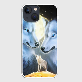 Чехол для iPhone 13 mini с принтом ВОЛК В НОЧИ(D) в Кировске,  |  | wolf | волк | волки | волчица | животные | одинокий волк