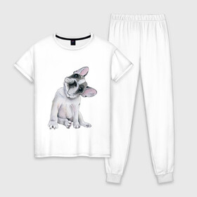 Женская пижама хлопок с принтом бульдог в Кировске, 100% хлопок | брюки и футболка прямого кроя, без карманов, на брюках мягкая резинка на поясе и по низу штанин | бульдог | животные | песокафе | рисунок | собаки