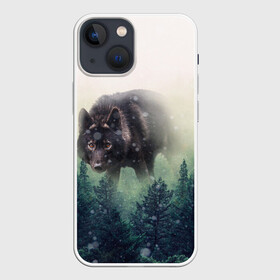 Чехол для iPhone 13 mini с принтом Волк в Кировске,  |  | альфа | амега | волк | волчонок | дым | зверь | зелёная | зима | красивая | лайка | лес | лесс | омега | пёс | подарок | прикольная | сибирь | сказка | собака | сосны | тайга | фильм | хаски | щенок