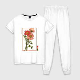 Женская пижама хлопок с принтом Blossom Flower в Кировске, 100% хлопок | брюки и футболка прямого кроя, без карманов, на брюках мягкая резинка на поясе и по низу штанин | flowers | букет | природа | растения | ретро | цветок | цветы
