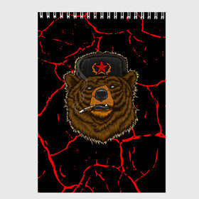 Скетчбук с принтом Медведь СССР в Кировске, 100% бумага
 | 48 листов, плотность листов — 100 г/м2, плотность картонной обложки — 250 г/м2. Листы скреплены сверху удобной пружинной спиралью | bear | bears | cosmo | gagarin | stalin | ussr | гагарин | герой | коммунизм | комунизм | космос | красная | ленин | медведи | медведь | медвежонок | молот | отечественная | первый космонавт | серп | серп и молот | союз