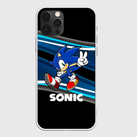 Чехол для iPhone 12 Pro Max с принтом SONIC в Кировске, Силикон |  | hedgehog | metal sonic | silver | silver the hedgehog | sonic | sonic boom | sonic the hedgehog | ёж сонник | игры | соник | фильмы