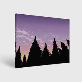 Холст прямоугольный с принтом Лес под ночным небом в Кировске, 100% ПВХ |  | Тематика изображения на принте: вечер | градиент | закат | звездное небо | звезды | лес | небо | очертание | очертание леса | сумерки | тайга | фиолетовый | черный