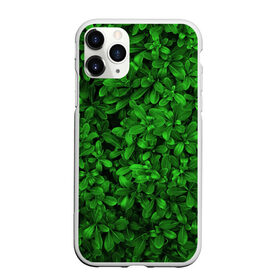 Чехол для iPhone 11 Pro Max матовый с принтом Свежая трава в Кировске, Силикон |  | арт | зелёный | светлый | тёмный | четкий