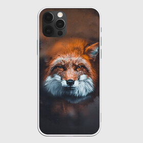 Чехол для iPhone 12 Pro Max с принтом Лиса в Кировске, Силикон |  | Тематика изображения на принте: волк | енот | енотик | зверь | зоопарк | колобок | лес | лис | лиса | лисёнок | лисица | лисы | мультик | пёс | писец | сибирь | сказка | собака | тайга