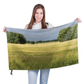 Флаг 3D с принтом Пшеничное поле в Кировске, 100% полиэстер | плотность ткани — 95 г/м2, размер — 67 х 109 см. Принт наносится с одной стороны | деревья | колоски | поле | природа | пшеница | растения