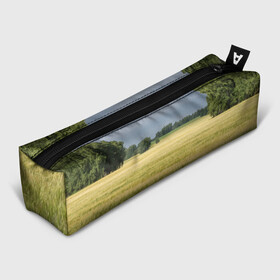 Пенал 3D с принтом Пшеничное поле в Кировске, 100% полиэстер | плотная ткань, застежка на молнии | деревья | колоски | поле | природа | пшеница | растения