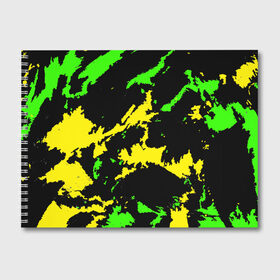 Альбом для рисования с принтом Желто-зеленый в Кировске, 100% бумага
 | матовая бумага, плотность 200 мг. | casual | neon | pattern | абстрактный | брызги | граффити | грязь | зелень | камуфляж | кислотный | краска | красочный | мазки | маскировка | милитари | неоновый | отпечаток | пятна | пятнистый | разноцветный