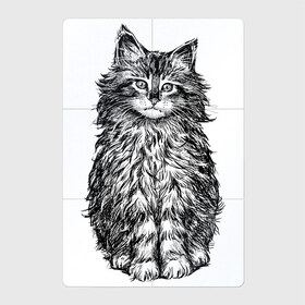 Магнитный плакат 2Х3 с принтом Пушистый котенок в Кировске, Полимерный материал с магнитным слоем | 6 деталей размером 9*9 см | белый котенок | кот | котенок | коты | котята | кошечка | кошка | кошки | милые котята | милый котенок | няшки | пушистый котенок