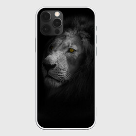 Чехол для iPhone 12 Pro Max с принтом Лев в Кировске, Силикон |  | гороскоп | животное | животные | звери | зверь | знак зодиака | зодиак | киска | киски | кот | котик | котики | коты | кошка | лев | лёва | львы | фауна | хищник | хищники