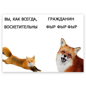 Поздравительная открытка с принтом гражданин фыр фыр в Кировске, 100% бумага | плотность бумаги 280 г/м2, матовая, на обратной стороне линовка и место для марки
 | 