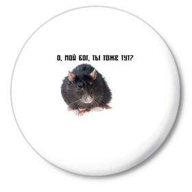 Значок с принтом Крыса в Кировске,  металл | круглая форма, металлическая застежка в виде булавки | крысы | о мой бог ты тоже тут