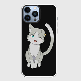 Чехол для iPhone 13 Pro Max с принтом Re:Zero в Кировске,  |  | anime | cat | cats | glitch | japan | ram | re | rem | rezero | senpai | subaru | waifu | zero | анимация | аниме | вайфу | глитч | глич | кот | кошка | мультсериал | мультфильм | семпай | сенпай | сериал | япония