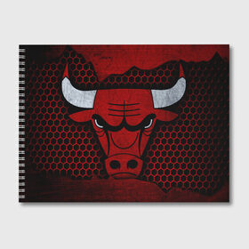 Альбом для рисования с принтом Chicago bulls в Кировске, 100% бумага
 | матовая бумага, плотность 200 мг. | chicago bulls | бык | быки | животные | звери | иллюстрации